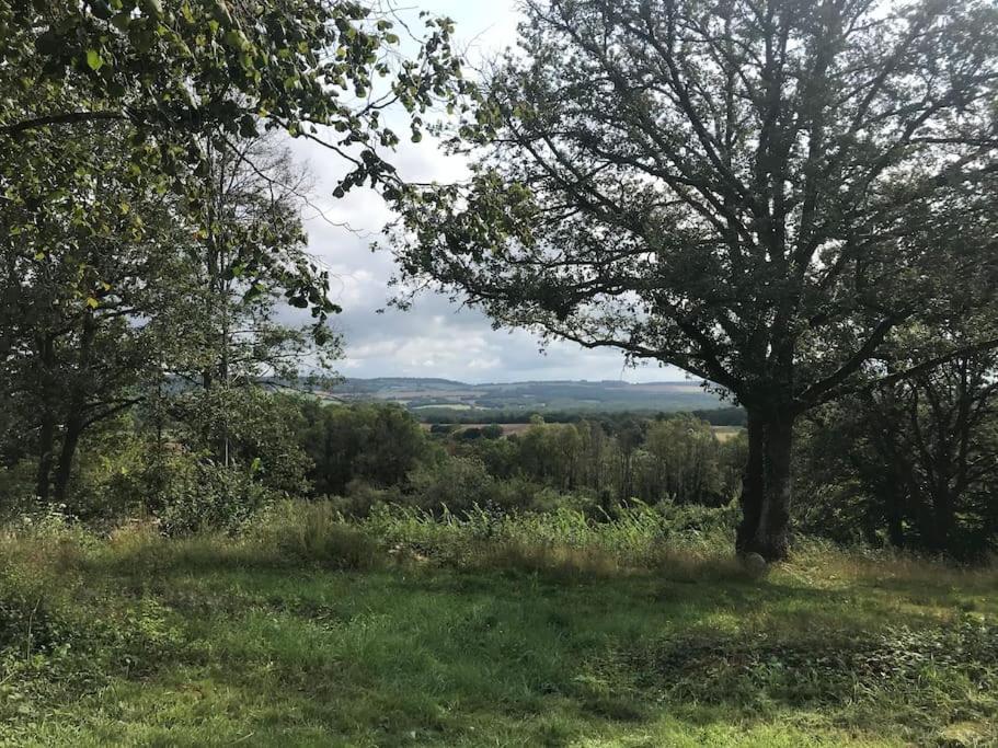 Maison De Bois En Pleine Nature A 20 Min De Beaune Montceau-et-Echarnant Eksteriør bilde